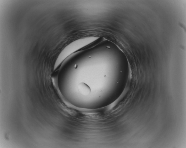 X0000098220328200804241350