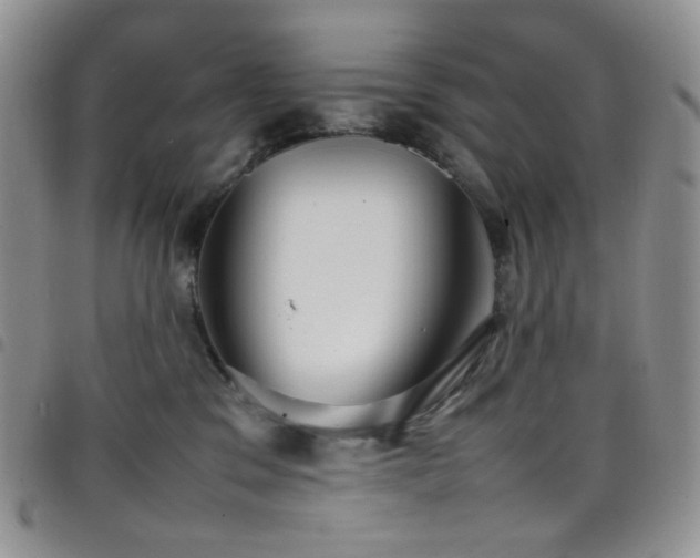 X0000098220329200804241350