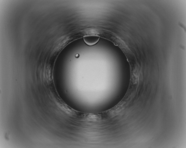 X0000098220330200804241350