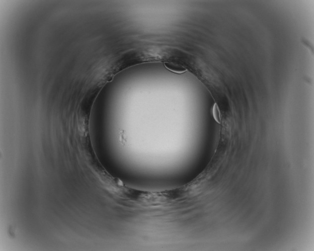X0000098220331200804241350