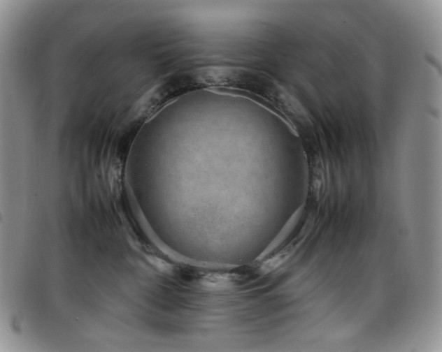 X0000098220332200804241350