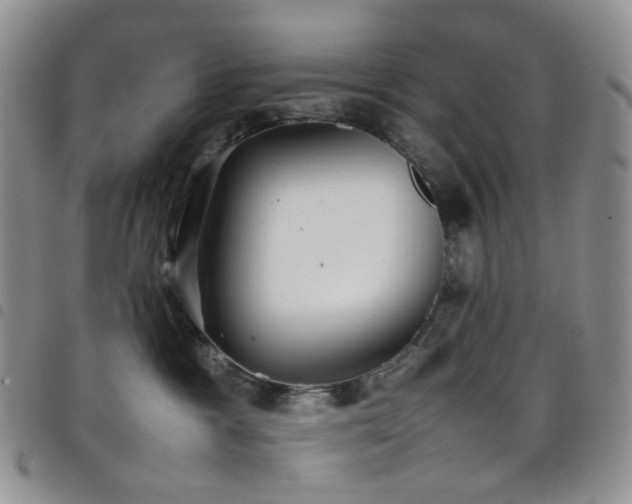 X0000098220333200804241350