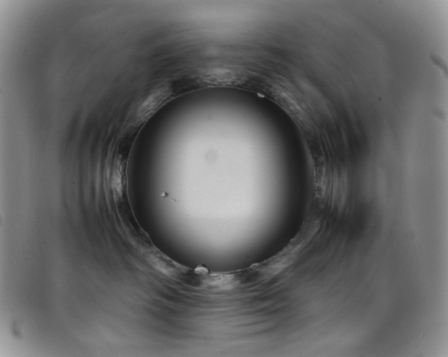 X0000098220334200804241350