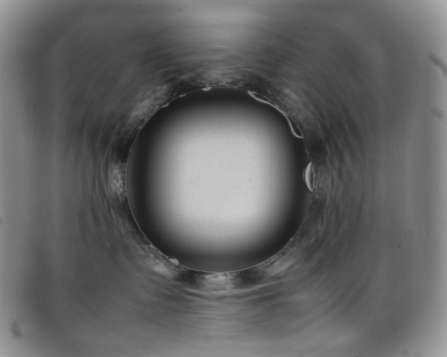 X0000098220335200804241350