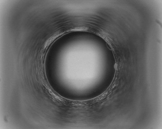 X0000098220337200804241349