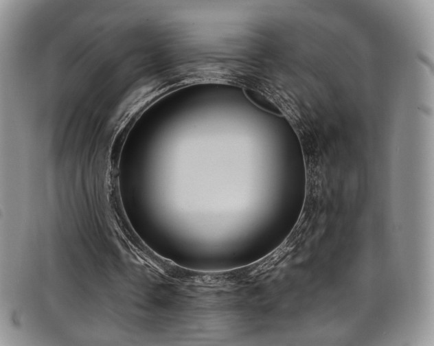 X0000098220338200804241349