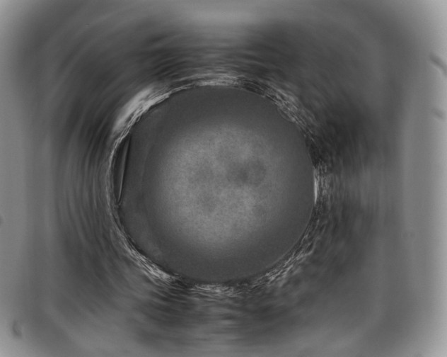 X0000098220339200804241349