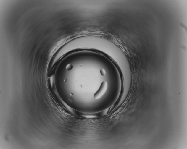 X0000098220340200804241349