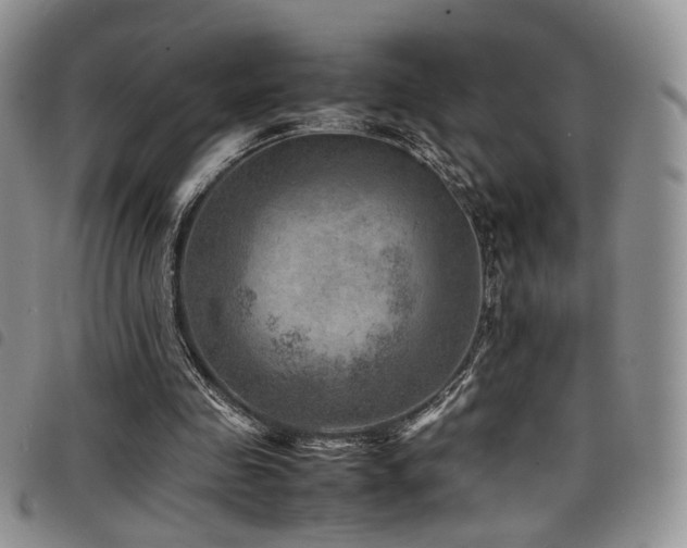 X0000098220341200804241349