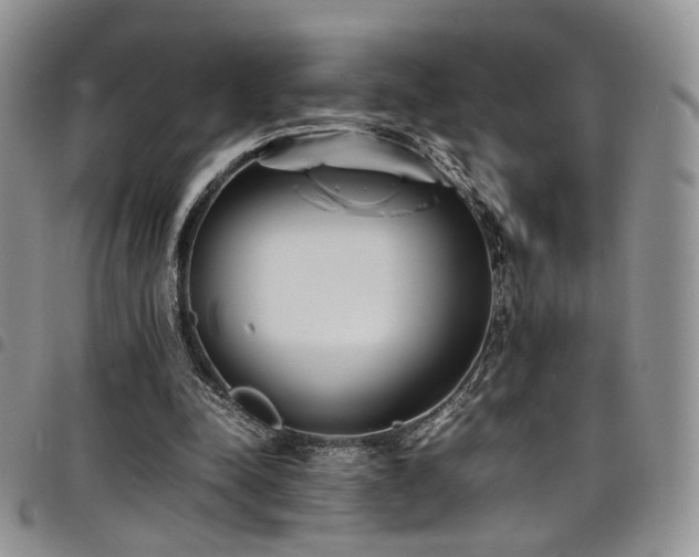 X0000098220342200804241349