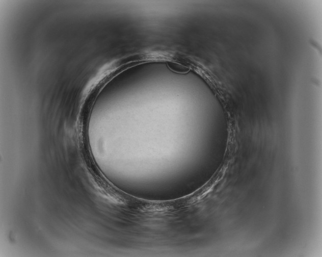 X0000098220343200804241349