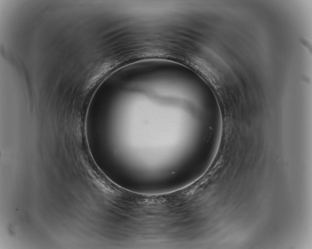 X0000098220345200804241349