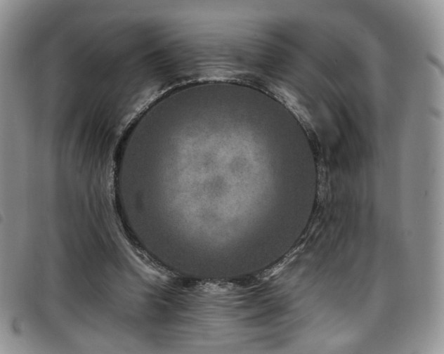X0000098220346200804241349