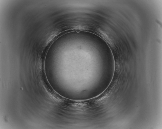 X0000098220347200804241349