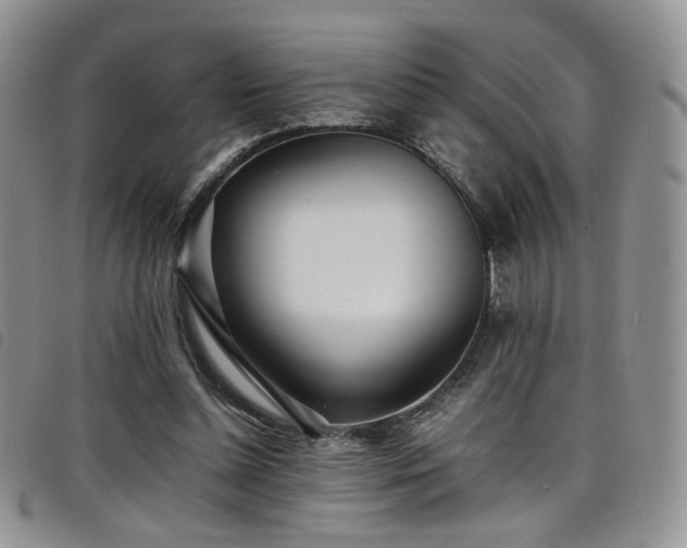 X0000098220348200804241349