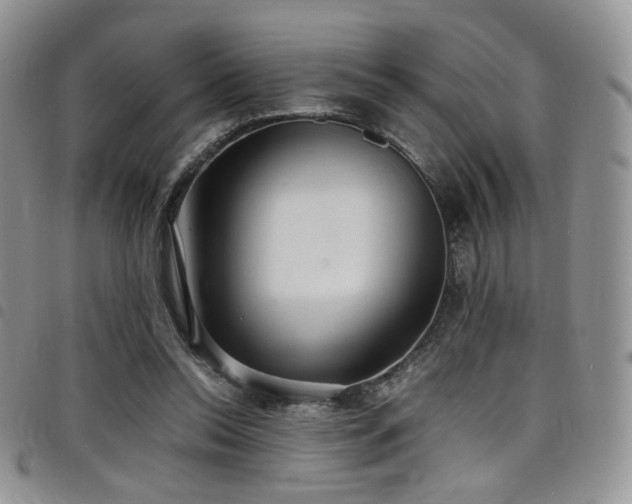 X0000098220350200804241349