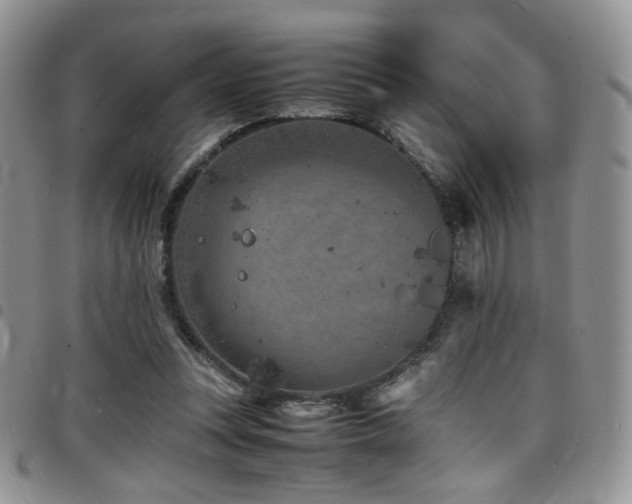 X0000098220351200804241349