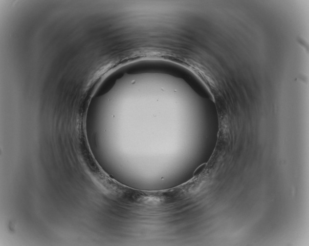 X0000098220352200804241349