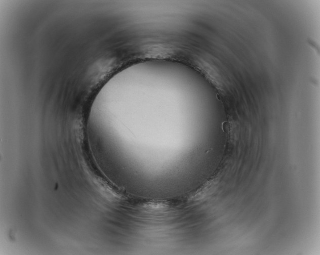 X0000098220354200804241349