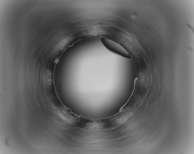 X0000098220356200804241349