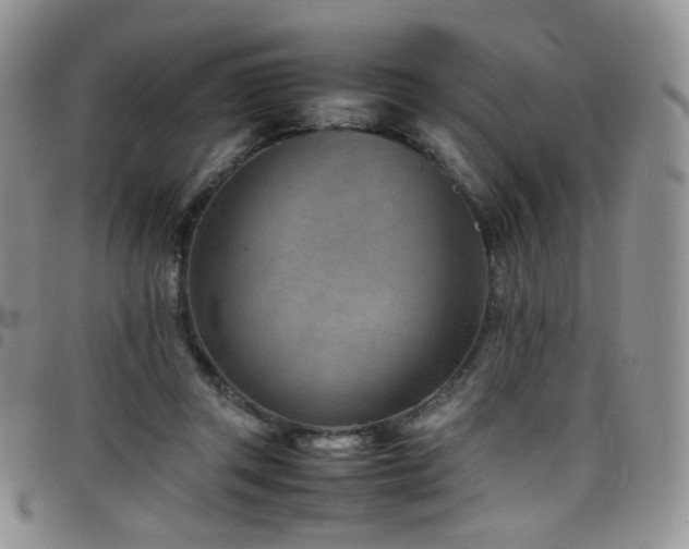 X0000098220357200804241349