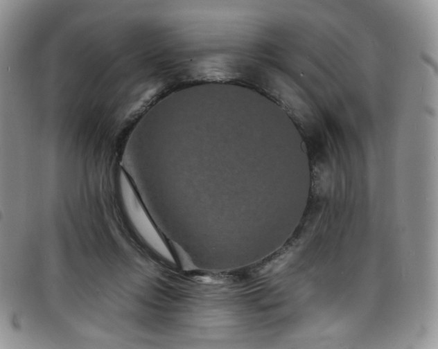 X0000098220358200804241349