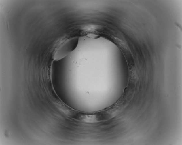 X0000098220361200804241349