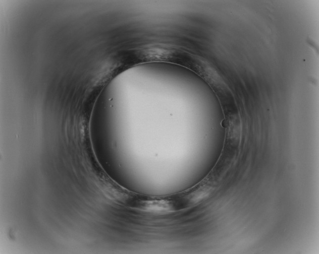 X0000098220363200804241349