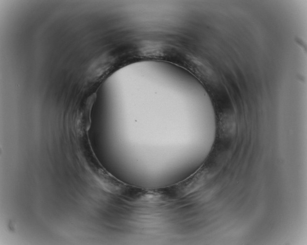 X0000098220364200804241349