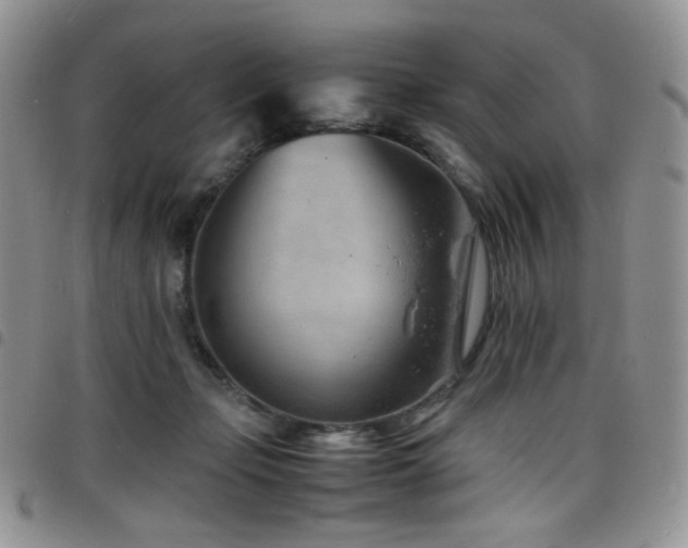 X0000098220365200804241349