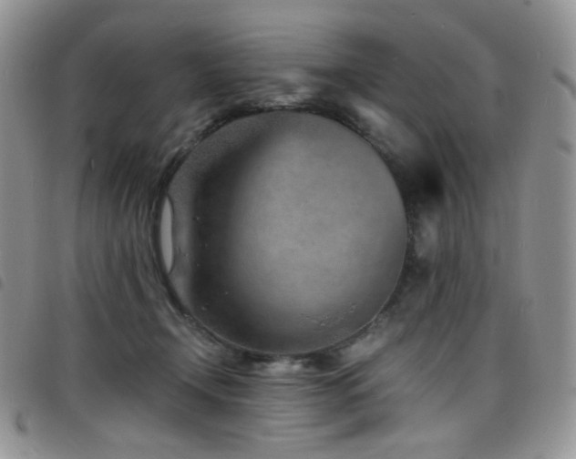 X0000098220366200804241349