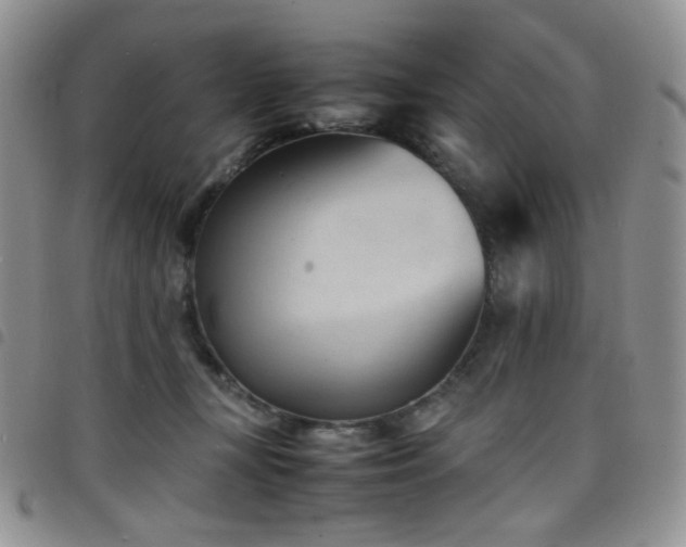 X0000098220367200804241349