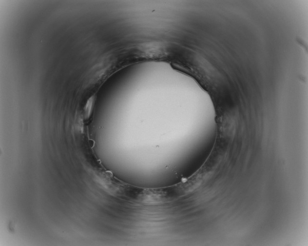 X0000098220368200804241349