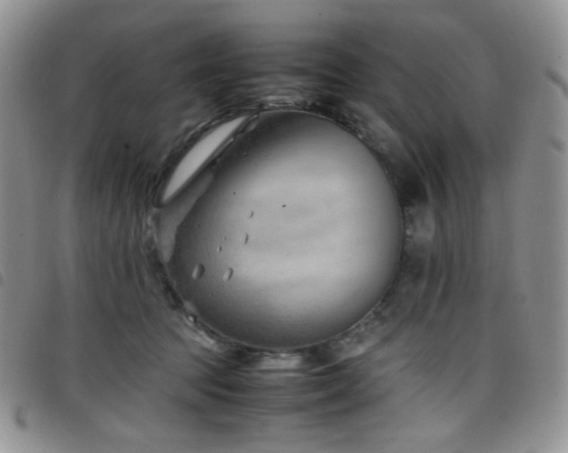 X0000098220369200804241349