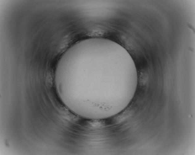 X0000098220370200804241349
