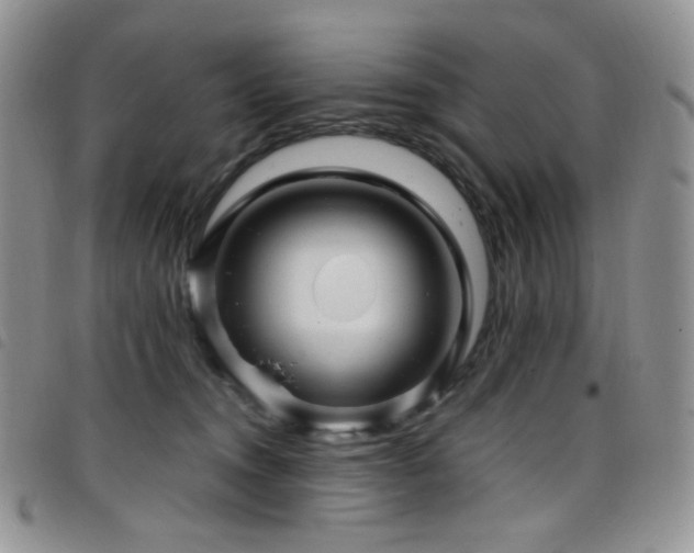 X0000098220372200804241349