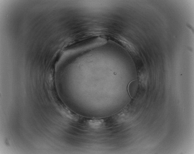 X0000098220373200804241349