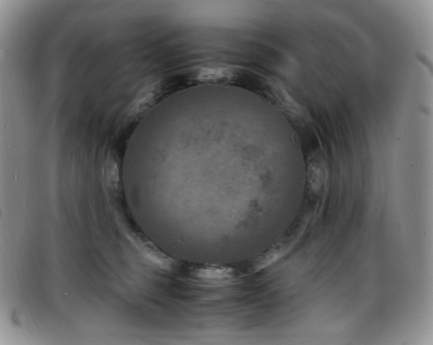 X0000098220375200804241350