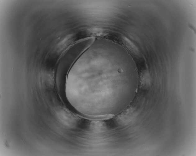 X0000098220376200804241350