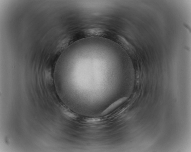 X0000098220377200804241350