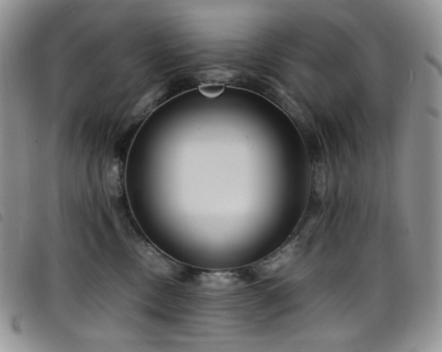 X0000098220378200804241350
