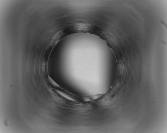 X0000098220379200804241350
