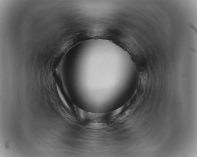 X0000098220380200804241350