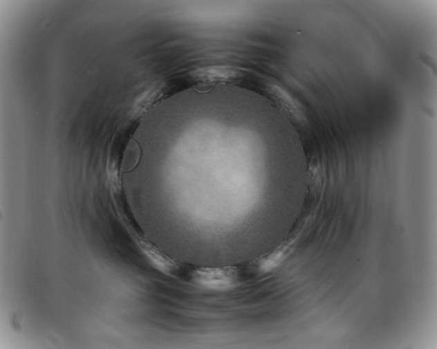 X0000098220381200804241350