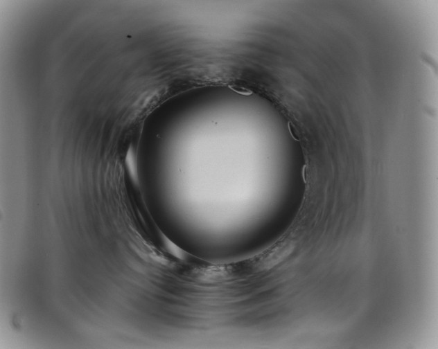 X0000098220384200804241350