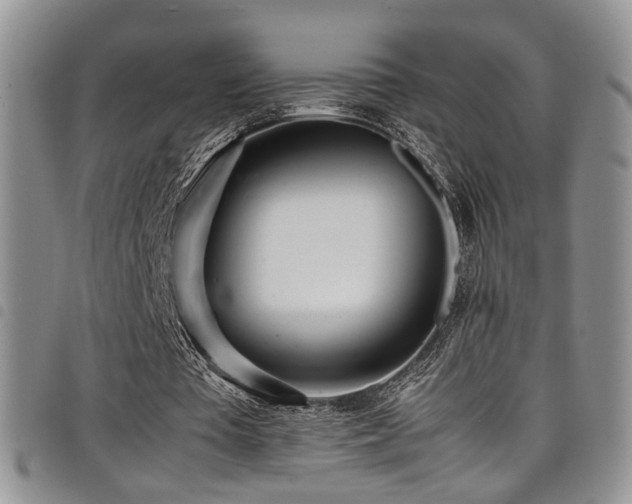 X0000098220385200804241349