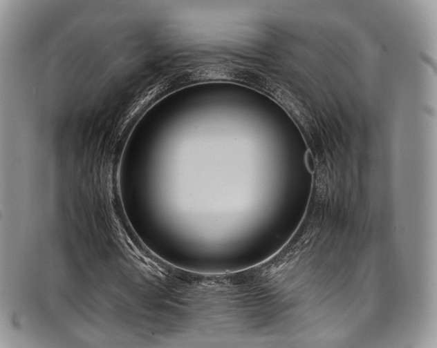 X0000098220386200804241349