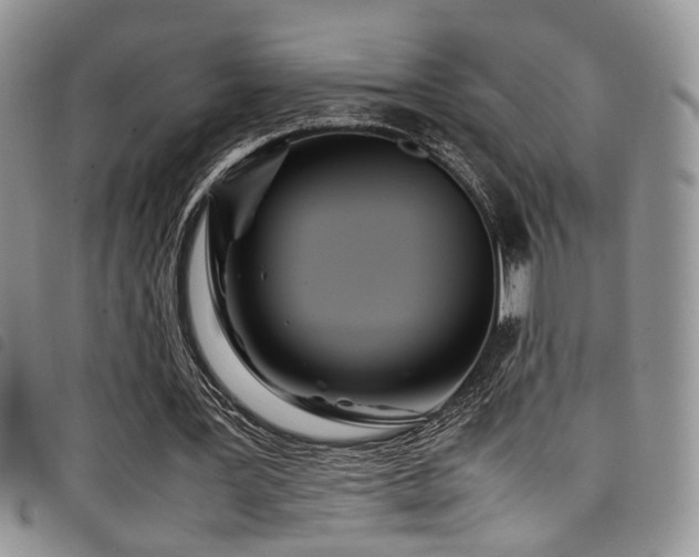 X0000098220387200804241349