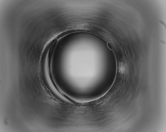 X0000098220388200804241349