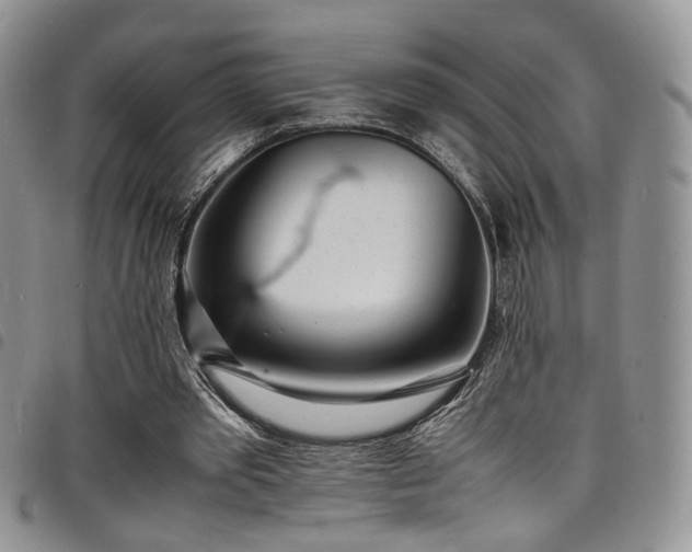 X0000098220389200804241349